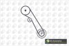 Комплект ГРМ Ford Connect 1.8 TDCi 02-13 BGA TB2310K (фото 2)