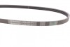 Ремень поликлиновый Hyundai Accent, Getz 1,4-1,6 05> Contitech 4PK815 (фото 2)