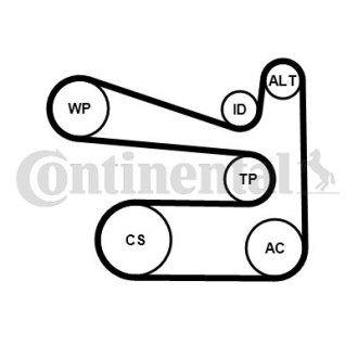 Комплект (ремінь+ролики) Contitech 6PK1693 K1 (фото 1)