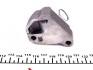 Ланцюг приводу ГРМ (к-кт) Nissan Micra/Note CG12DE/CR12DE/CR14DE 03-11 DAYCO KTC1010 (фото 7)