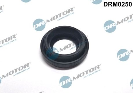 Кільце гумове DR.MOTOR DRM0250