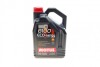 Олива 8100 Eco-nergy 5W30 5 L MOTUL 812306 (фото 1)