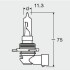 Автолампа галогенова 65W OSRAM 9011 (фото 3)