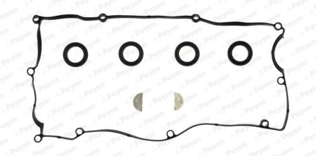 Комплект прокладок з різних матеріалів Payen HM5374