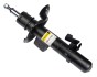 Амортизатор передній Galaxy/S-Max 06- Л. (газ.) RAISO RS313759 (фото 1)