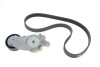 Ремкомплект ГРМ CITROEN/FORD/PEUGEOT/VOLVO Berlingo/C2-5/Fiesta/206+/3008/C30/V70 "1,4-1,6D "02>> SKF VKMA33165